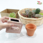 Mystery Plant Box (Mini P55)