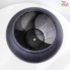 SSJ-826 - Black Pot