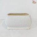 SJ-S-49 White Pot
