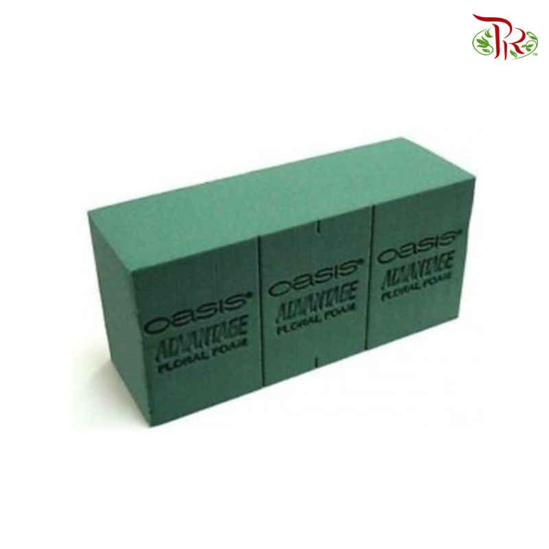 Oasis Advantage Floral Foam 1 Box (20 Pcs)-Oasis-prflorist.com.my