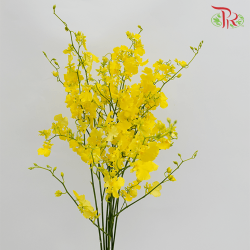 Orchid Oncidium Yellow Lips (M) - 10 Stems-Yellow-Malaysia-prflorist.com.my