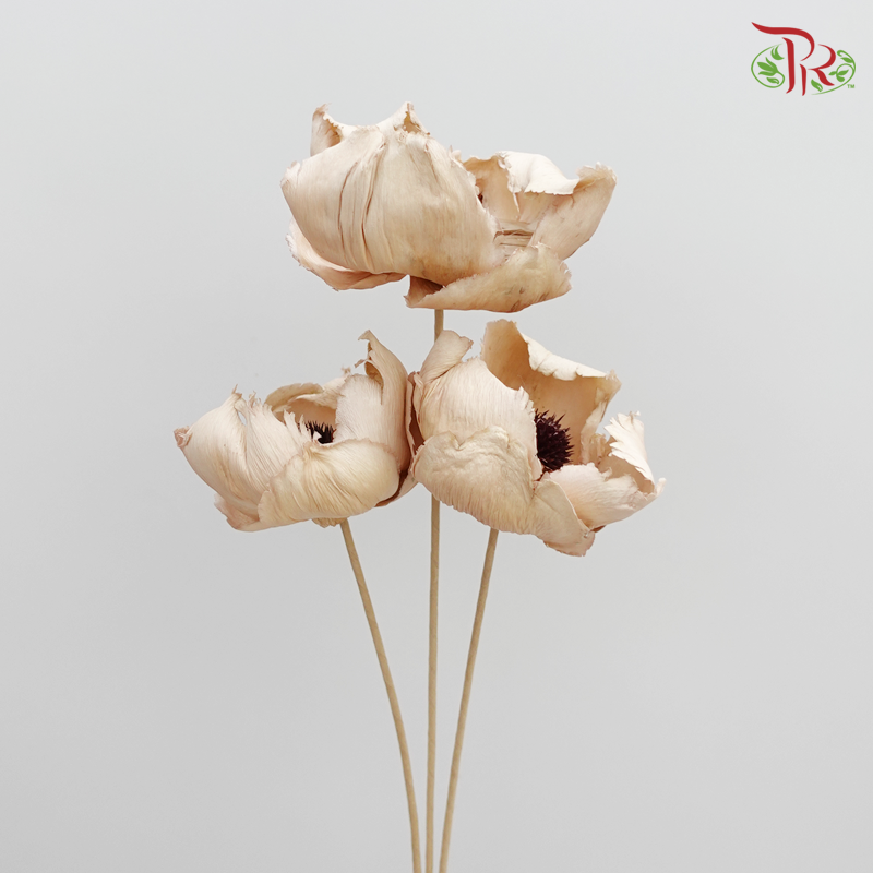 Palm Flower Preservative ( 4051-3-160 )-Japan-prflorist.com.my