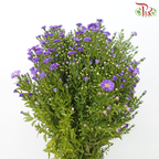 Peacock - Purple (Per Bunch)-Purple-Malaysia-prflorist.com.my