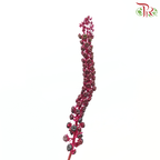Phytolacca - (Per Bunch)-Green-China-prflorist.com.my