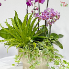 Botanical Elegance 花间雅境