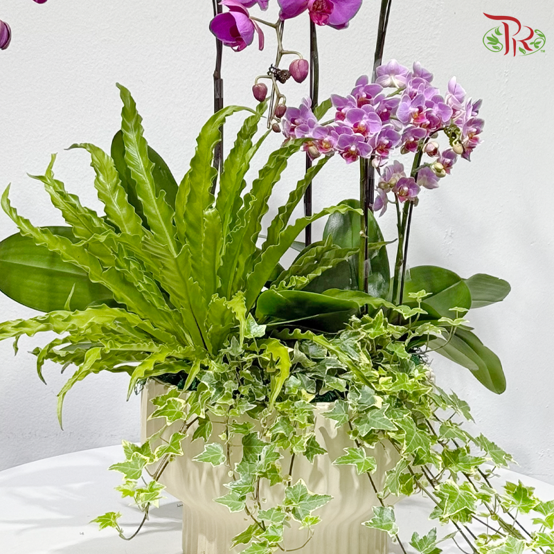 Botanical Elegance 花间雅境