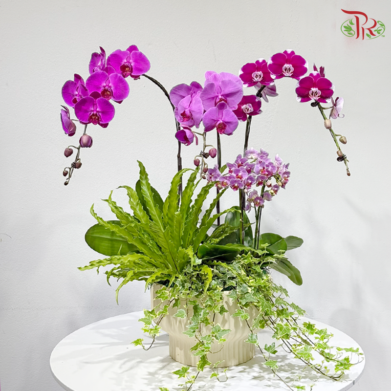 Botanical Elegance 花间雅境