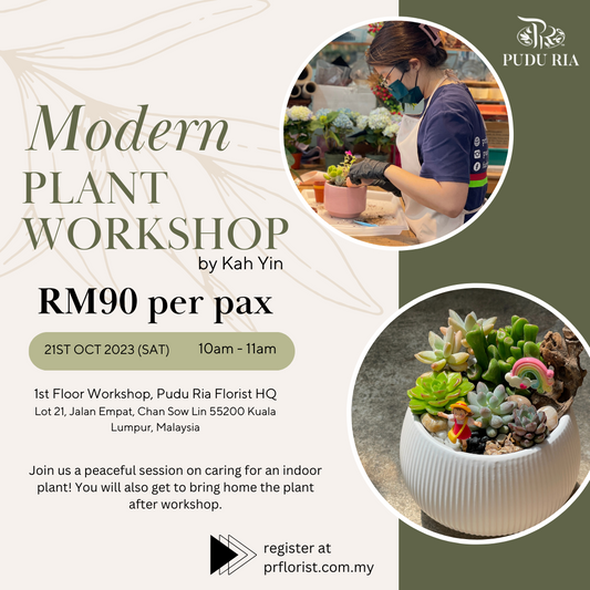 Plant Workshop (Succulents + Deco) - Pudu Ria Florist