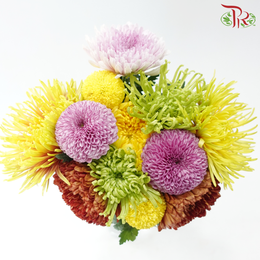 Prayer Bunch - Ping Pong + Net Mum (12 Stems)-Malaysia-prflorist.com.my