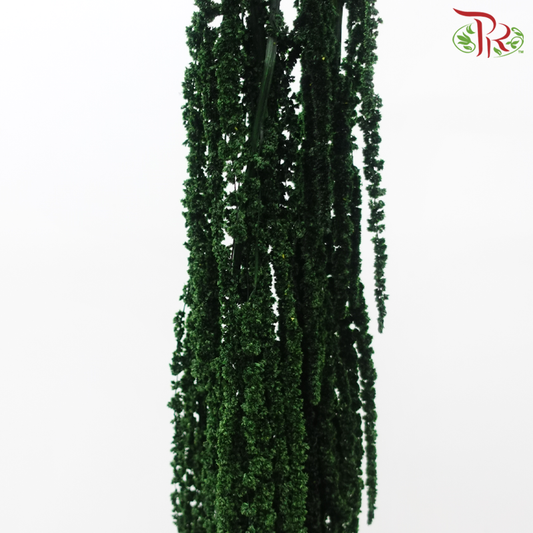 Preservative Amaranthus Hanging - Dark Green-Green-China-prflorist.com.my