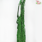 Preservative Amaranthus Hanging - Green-Green-China-prflorist.com.my