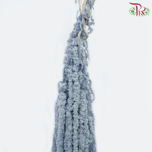 Preservative Amaranthus Hanging - Greyish Blue-Greyish Blue-China-prflorist.com.my