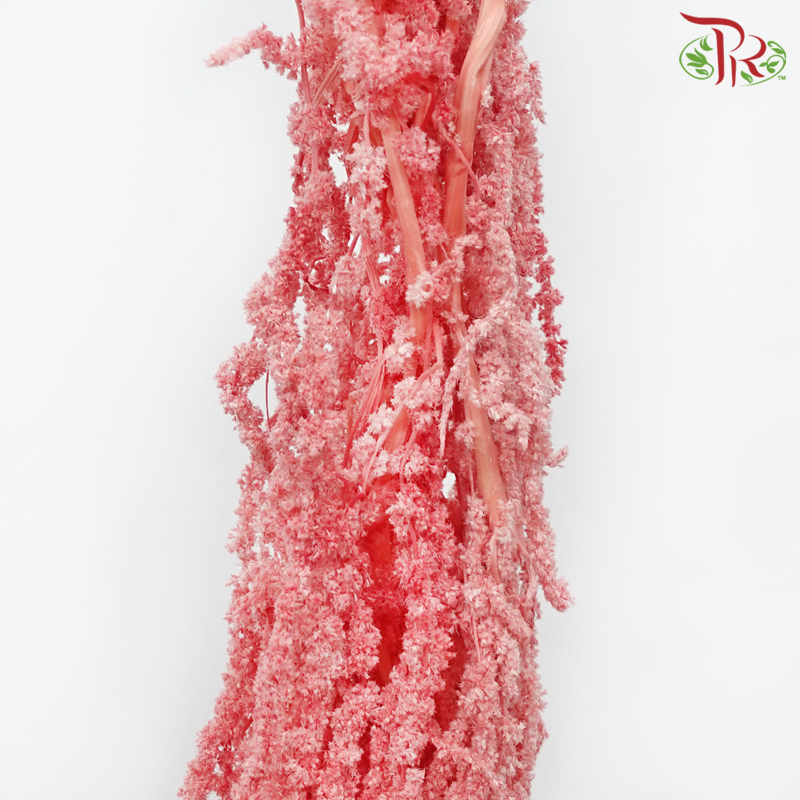 Preservative Amaranthus Hanging - Pink-Pink-China-prflorist.com.my