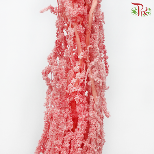 Preservative Amaranthus Hanging - Pink-Pink-China-prflorist.com.my