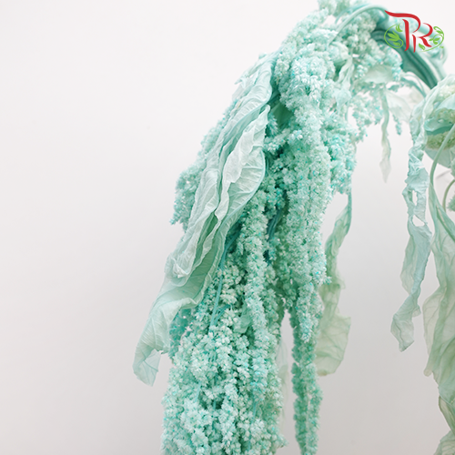 Preservative Amaranthus Hanging - Turquoise-Turquoise-China-prflorist.com.my