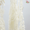 Preservative Amaranthus Natural - White-White-China-prflorist.com.my