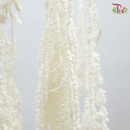 Preservative Amaranthus Natural - White-White-China-prflorist.com.my