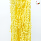 Preservative Amaranthus - Yellow (Per Bunch)-Yellow-China-prflorist.com.my