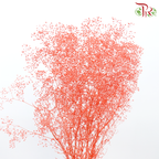 Preserved Baby's Breath - Light Red (Per Bunch)-Light Red-China-prflorist.com.my