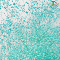 Preserved Baby's Breath - Turquoise-Turquoise-China-prflorist.com.my