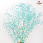 Preserved Baby's Breath - Turquoise-Turquoise-China-prflorist.com.my