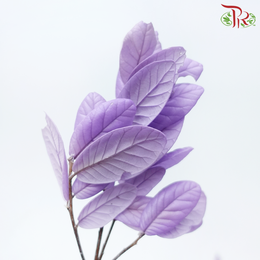 Preserved Chestnuts Leaf - Purple (Per Bunch)-Purple-China-prflorist.com.my