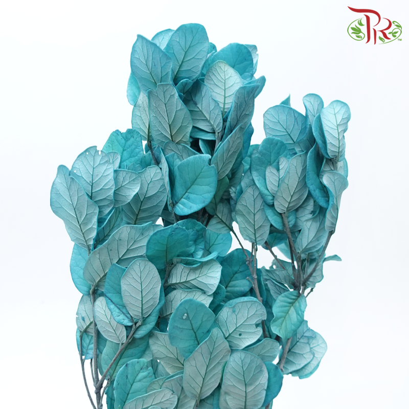 Preserved Chestnuts Leaf - Turquoise (Per Bunch)-Turquoise-China-prflorist.com.my