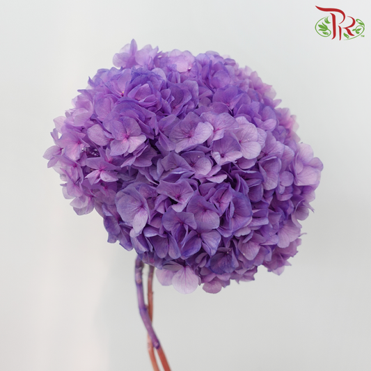 Preserved Hydrangea - Amethyst Purple (Per Stem)-Purple-China-prflorist.com.my