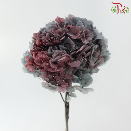 Preserved Hydrangea - Bicolour Red Purple & Grey (Per Stem)-Mixed Dark Purple & Grey-China-prflorist.com.my