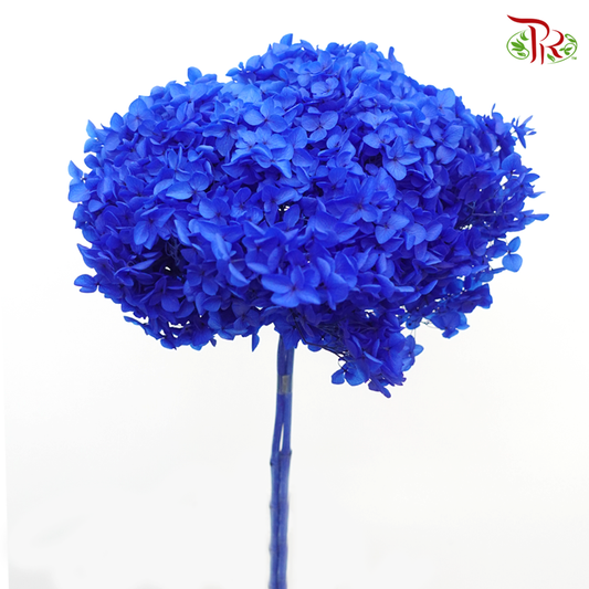 Preserved Hydrangea - Blue (Per Stem)-Blue-China-prflorist.com.my