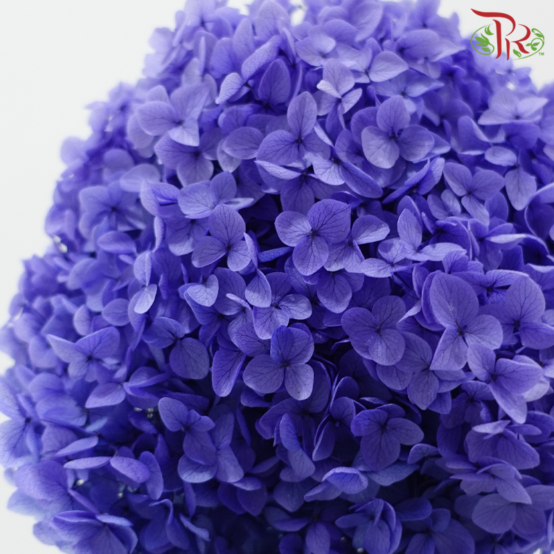 Preserved Hydrangea - Bluish Purple (Per Stem)-Purple-China-prflorist.com.my