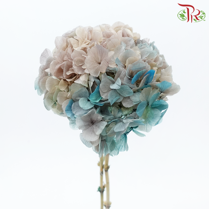 Preserved Hydrangea - Desert Sand Tone Blue (Per Stem)-Desert Sand Tone Blue-China-prflorist.com.my