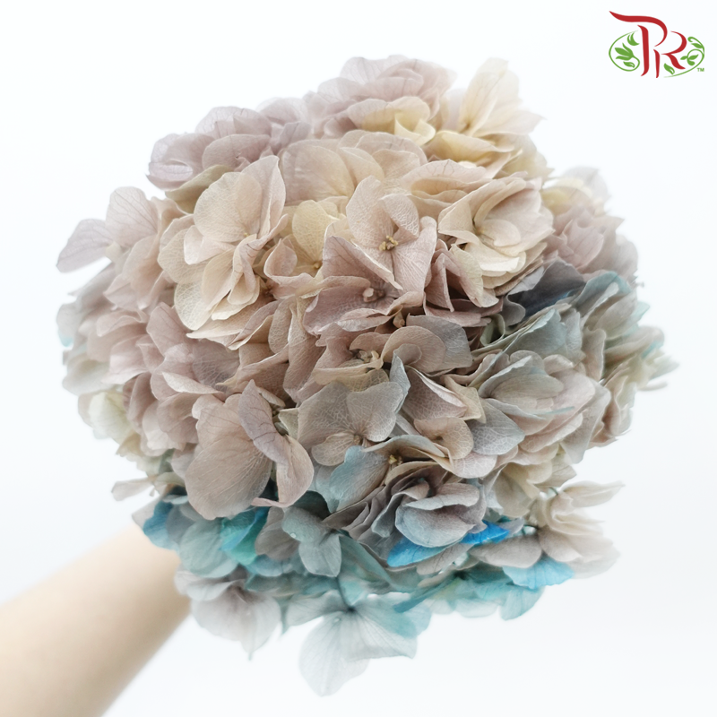 Preserved Hydrangea - Desert Sand Tone Blue (Per Stem)-Desert Sand Tone Blue-China-prflorist.com.my