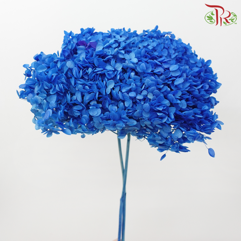 Preserved Hydrangea - Royal Blue (Per Stem)-Royal Blue-China-prflorist.com.my