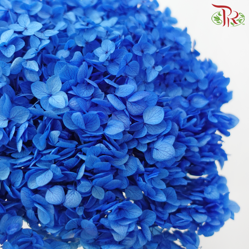 Preserved Hydrangea - Royal Blue (Per Stem)-Royal Blue-China-prflorist.com.my