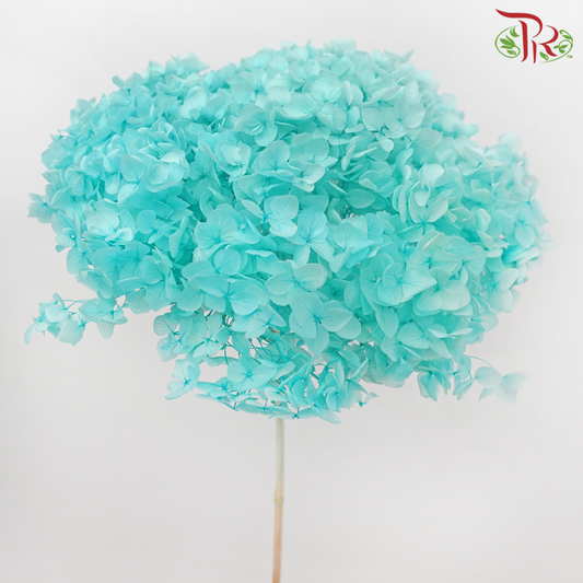 Preserved Hydrangea - Turquoise (Per Stem)-Turquoise-China-prflorist.com.my