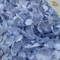 Preserved Hydrangea (Variety Tone)-Blue 3-China-prflorist.com.my