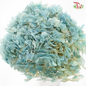 Preserved Hydrangea (Variety Tone)-Hawaii Blue#5-China-prflorist.com.my