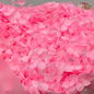 Preserved Hydrangea (Variety Tone)-Pink 1-China-prflorist.com.my