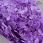 Preserved Hydrangea (Variety Tone)-Purple 3-China-prflorist.com.my