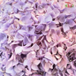 Preserved Hydrangea (Variety Tone)-Purple 5-China-prflorist.com.my