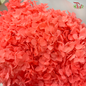 Preserved Hydrangea (Variety Tone)-Red 3-China-prflorist.com.my