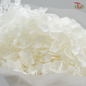 Preserved Hydrangea (Variety Tone)-White-China-prflorist.com.my