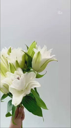 Rose Lily - Angel White / Polaris / Snowstorm / Snow White / Essar / Polaris / Skis 3+- (5 Stems)
