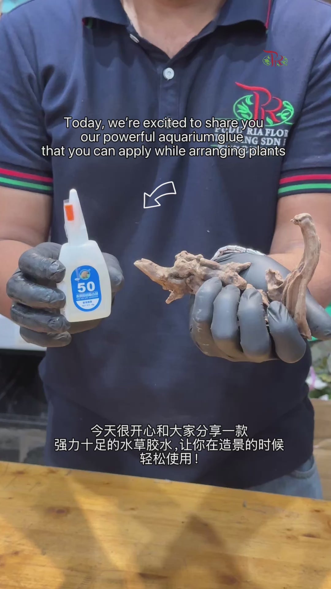 Aquarium Glue 《水草胶水》