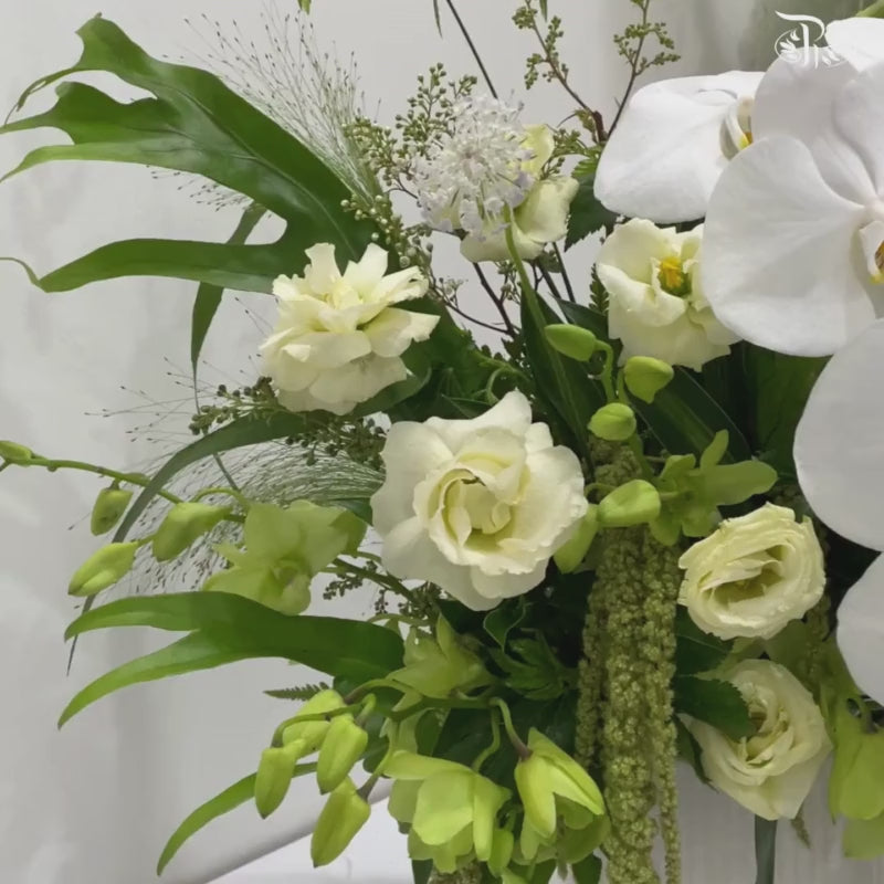 Ivory Whisper Orchid Ensemble