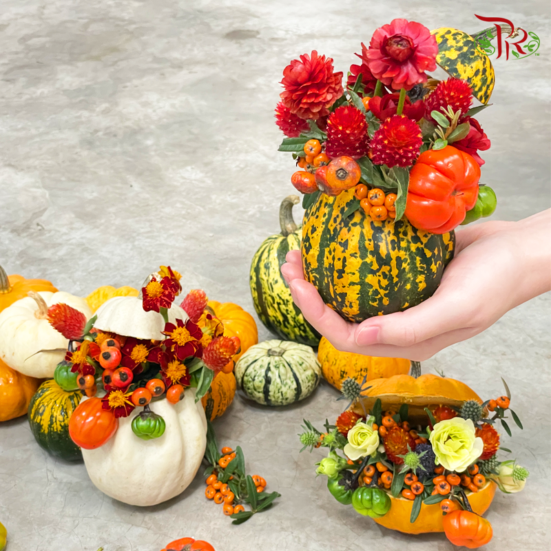 Mini Pumpkin (Special Halloween Series) Random Choose - Pudu Ria Florist
