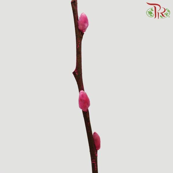 Pussy Willow Single (6FT) - Pink (10 Stems)-Pink-China-prflorist.com.my