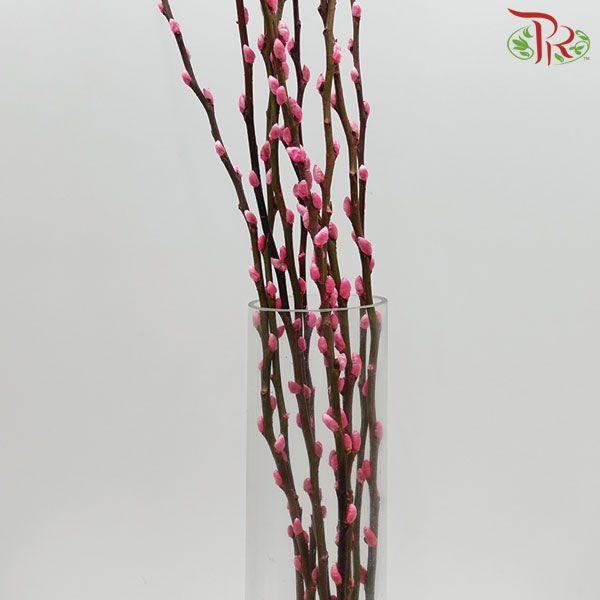 Pussy Willow Single (6FT) - Pink (10 Stems)-Pink-China-prflorist.com.my