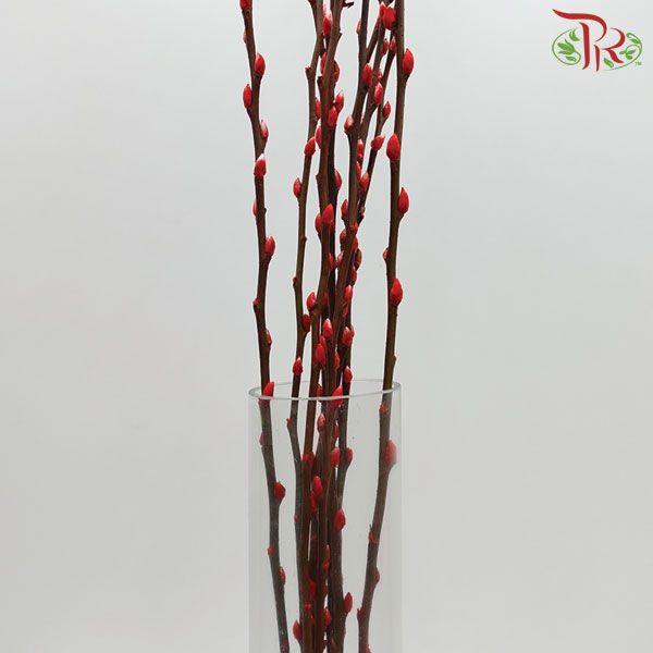 Pussy Willow Single (6FT) - Red (10 Stems)-Red-Pudu Ria Florist-prflorist.com.my